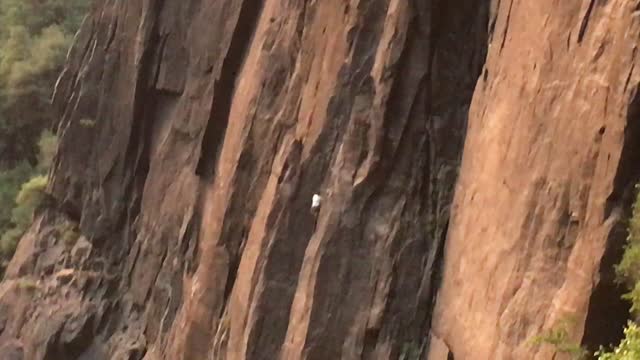 Rock Climber in National Park