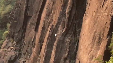 Rock Climber in National Park