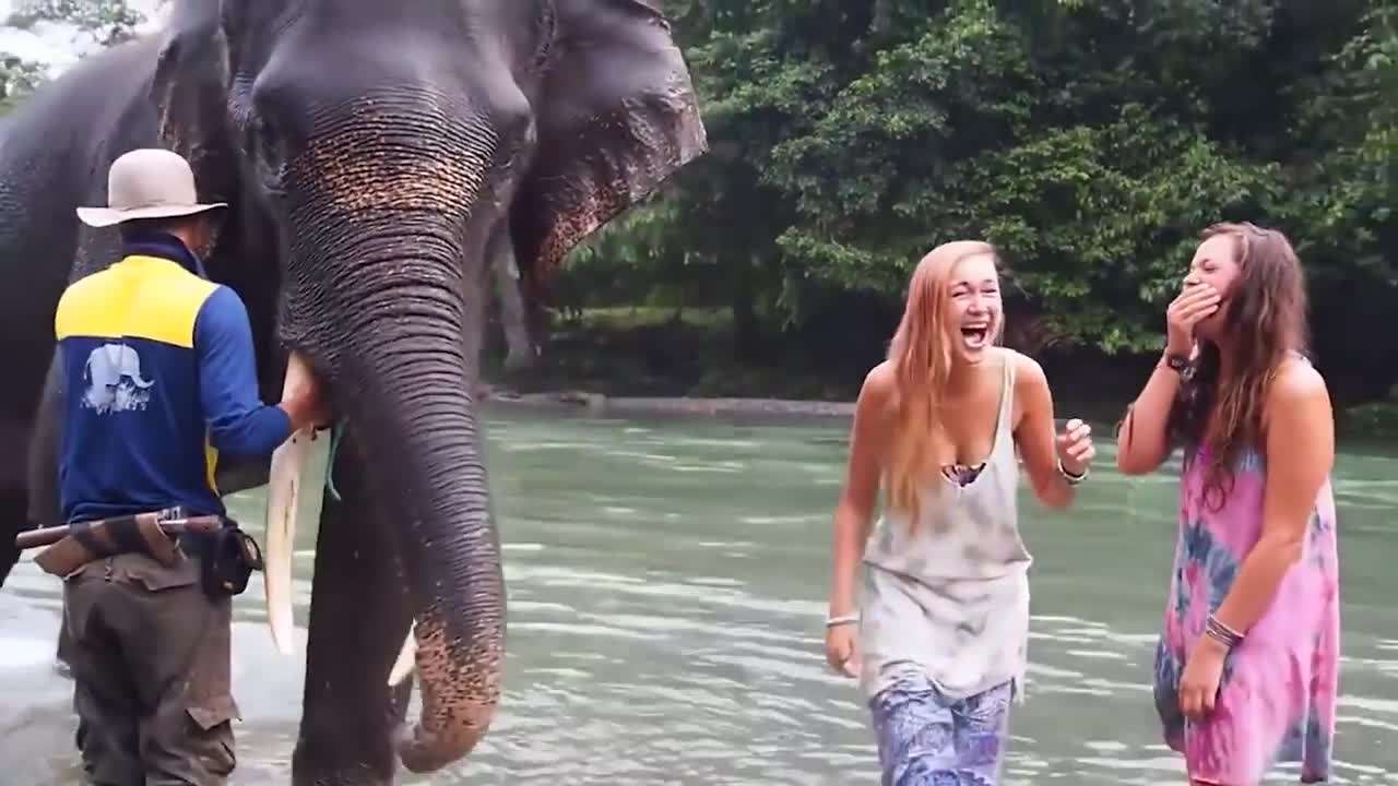 UNBELIEVABLE Elephant Attacks CAUGHT ON CAMERA!