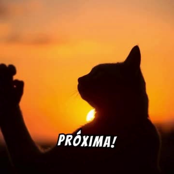 Datos Fascinantes sobre los Gatos que No Sabías 🐱✨