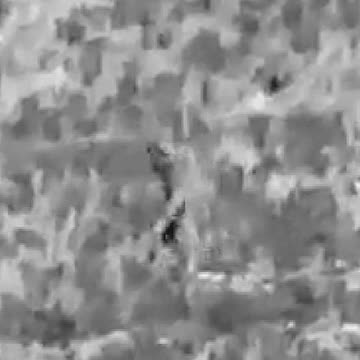 OCTOBER 2023 BIGFOOT VIDEO FILTER SLOW MOTION ANALYSIS