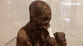 ¡El museo Casa de Bolívar vuelve a abrir sus puertas en Bucaramanga!