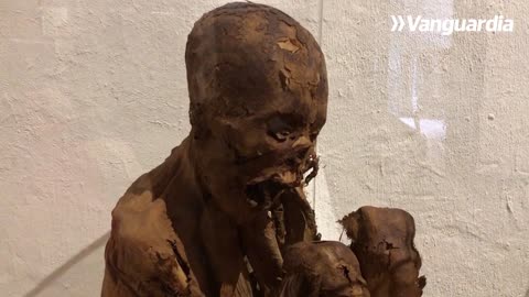 ¡El museo Casa de Bolívar vuelve a abrir sus puertas en Bucaramanga!