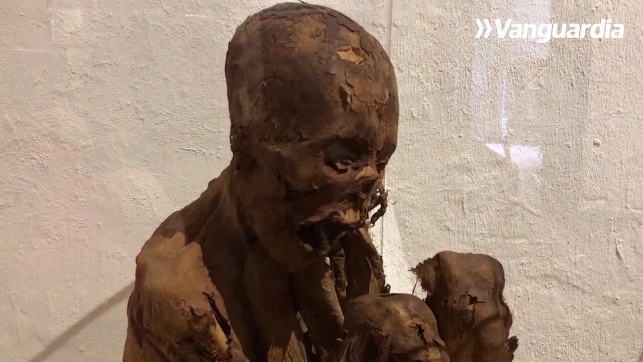 ¡El museo Casa de Bolívar vuelve a abrir sus puertas en Bucaramanga!