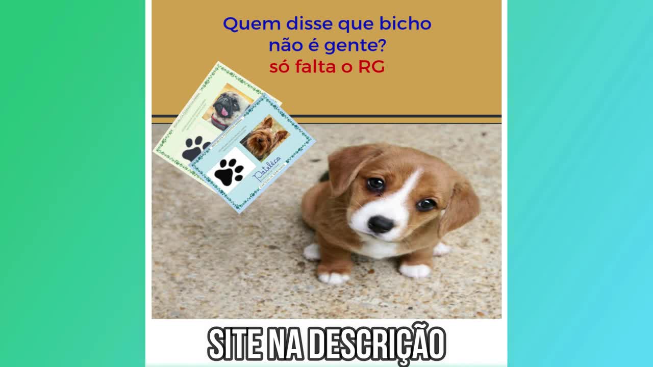 Cachorros Engraçados, Tente não Rir (Funny Dogs)