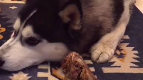 Don't touch my drumsticks