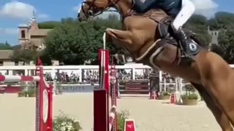 Cavalo