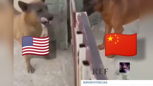 China vs EEUU dólar CRIPTO tate