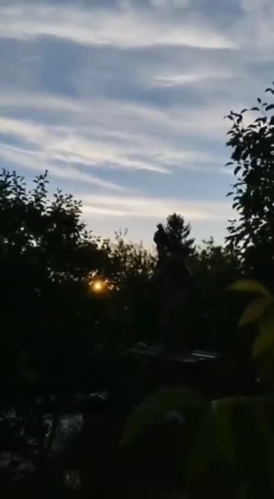 Stinger Shoots Down Orlan-10