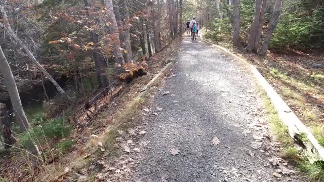 Trail ride on Apollo City electric scooter