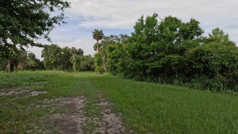 Sabal Bluff Preserve, Leesburg, Florida