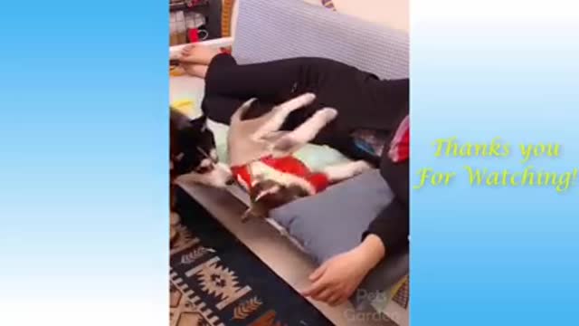Cutest puppies ever๐๐ part 2