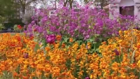 Relaxing Music | Sleeping, Meditation, Stress Relief | [1654] ⭐️