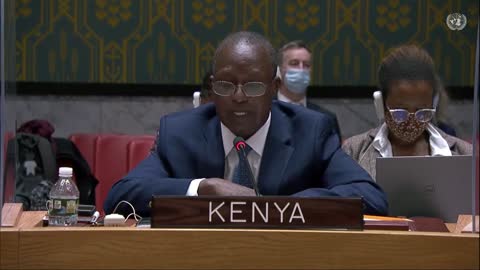 Kenya intervention at the extraordinary security council of UN the 3.11