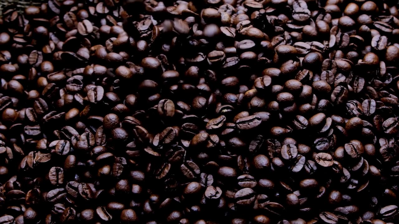 5 Facts about Coffee