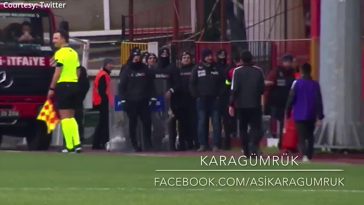 Dog interrupt: dog interrupts soccer match