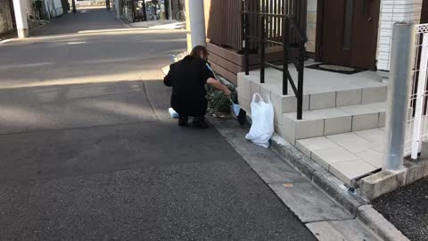 Japan Japanese are always cleaning the environment