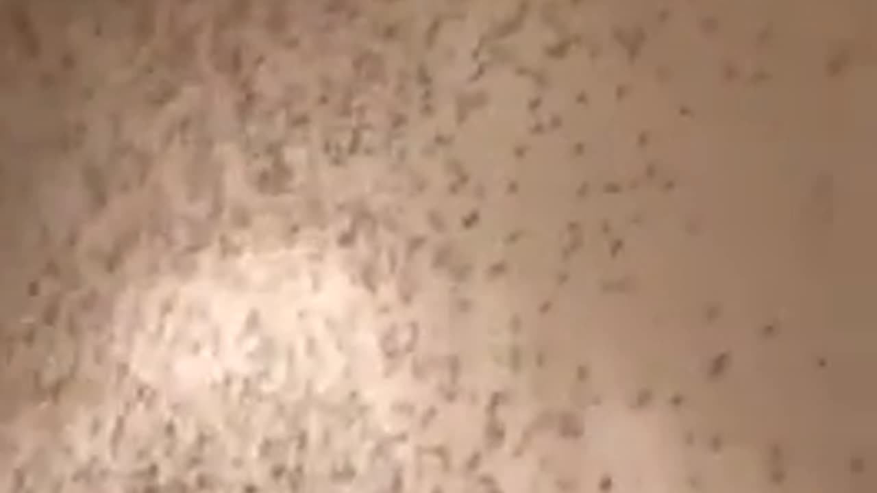 Left The Window Open Overnight