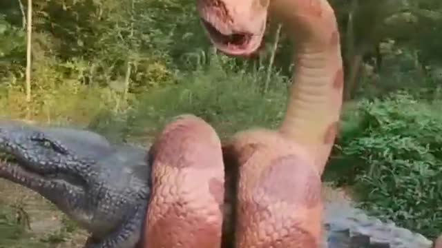 Videos