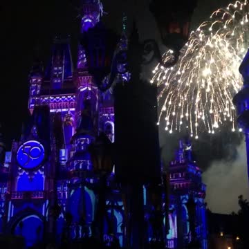 Disney World Fireworks 7