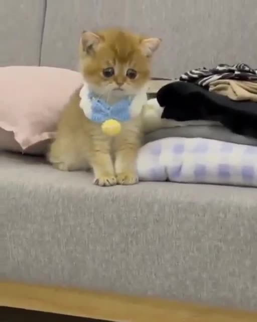 So these are the eyes of fear!Так вот они какие, глаза у страха!