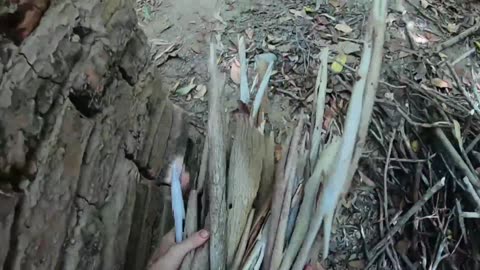 Primitive Technology Pot Made of Wood Ash