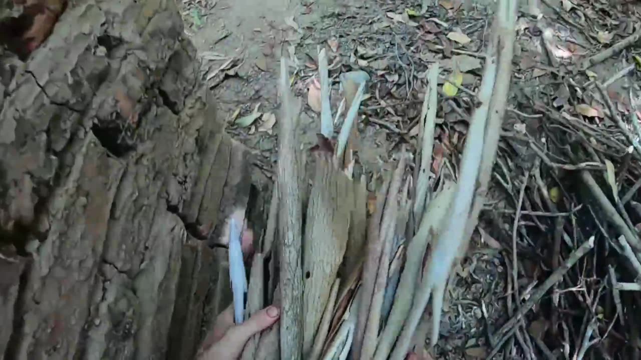 Primitive Technology Pot Made of Wood Ash