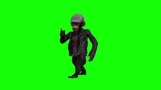 monky dance funny