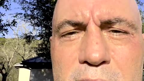 Joe Rogan responds to backlash over his coronavirus interviews on Spotify