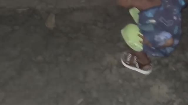 Little Children Talk with Frog