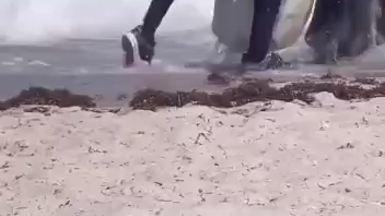 I guess cocaine grows in the ocean like algae 😂