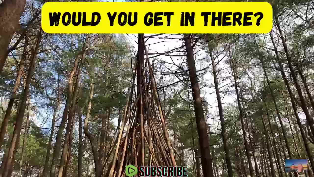 WILL IT HOLD?