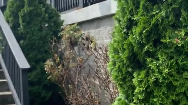 Her face WHEN HE CATCHES THEM!! For Entertainment Purposes Only