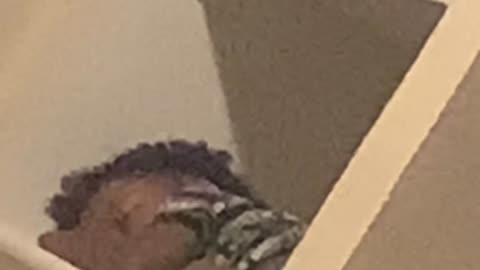 Toddlers Can Sleep Anywhere