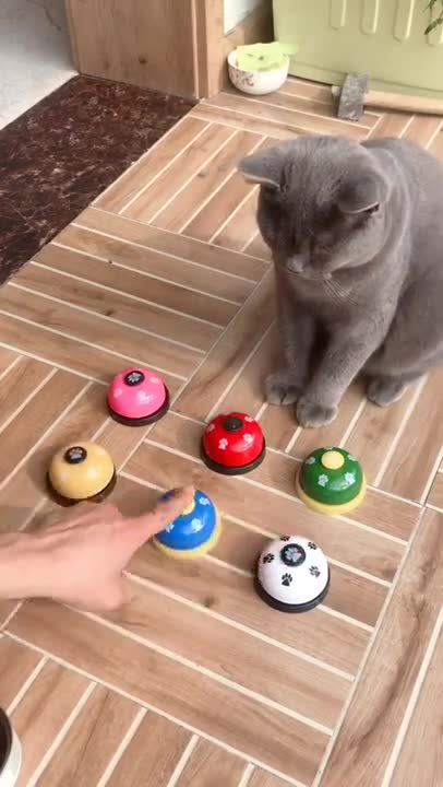 #comedy​ #shorts || You will get stomach ache from laughing so hard