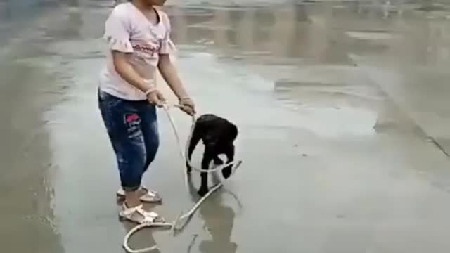 Little girl play with her little buddy 🥰
