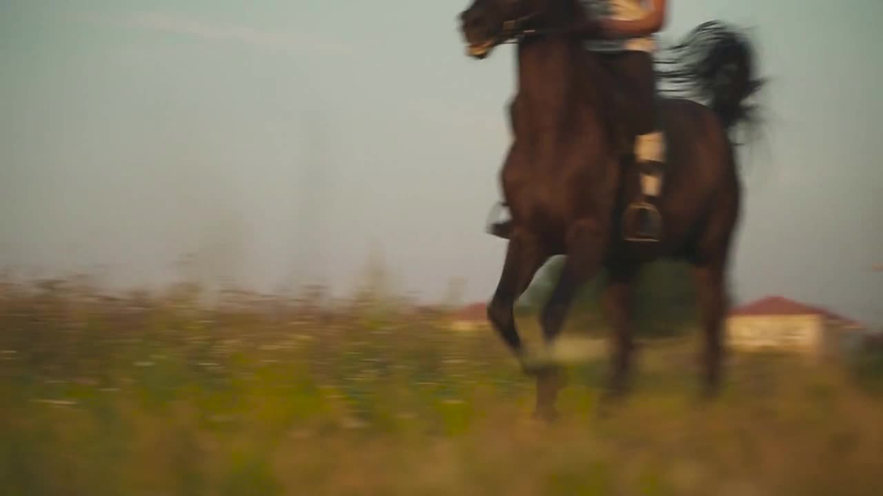 Girl is riding a horse