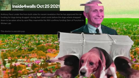 BEAGLE LIVES MATTER! Anthony Fauci approved cruel experiments on Beagles