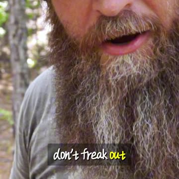 Fixing broken tarp using PINECONE