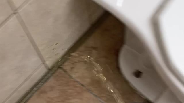 stupidmarket urination