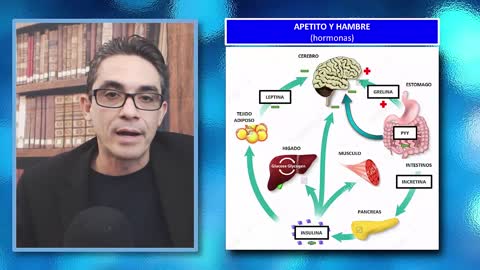 Ciclo del Hambre explicado