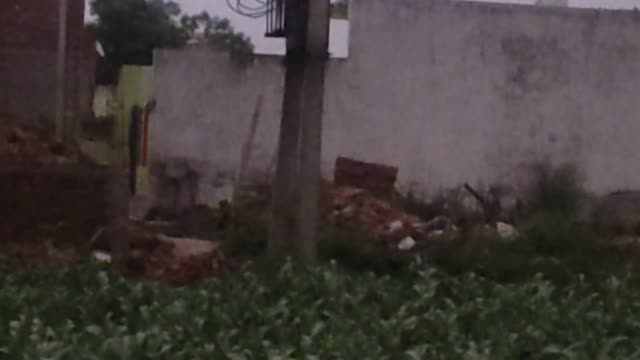 Transformer fault || in my village