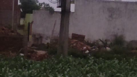 Transformer fault || in my village 