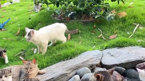 Aww so cute