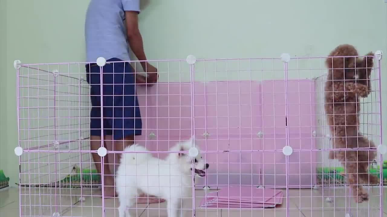 DIY BIG House For Pomeranian Poodle Puppies & Kittens