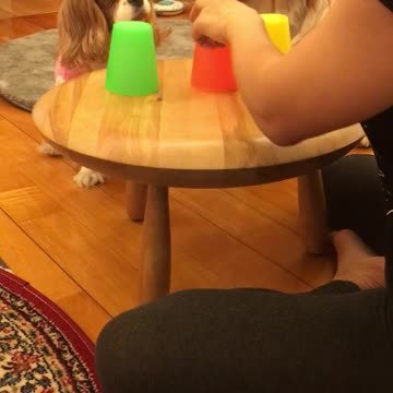 KiKi's three cups of magic