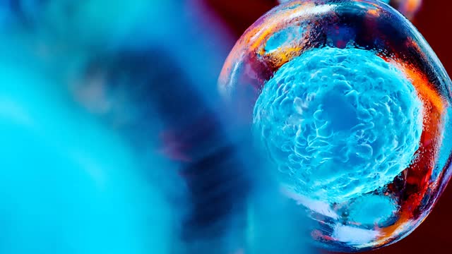 幹細胞研究 周邊血幹細胞將成主流