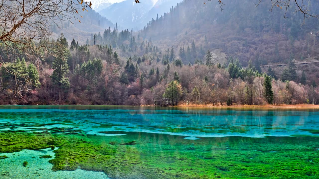 Discover Jiuzhaigou Valley: A Photographer's Dream!