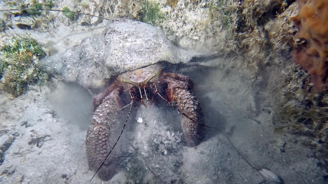 Underwater Excavation