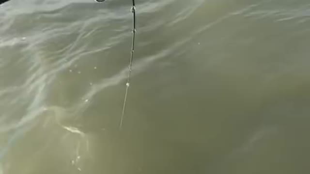 Amazing fishing.Short #5